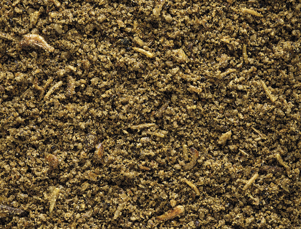 NutriBird Insect Patee - 250g