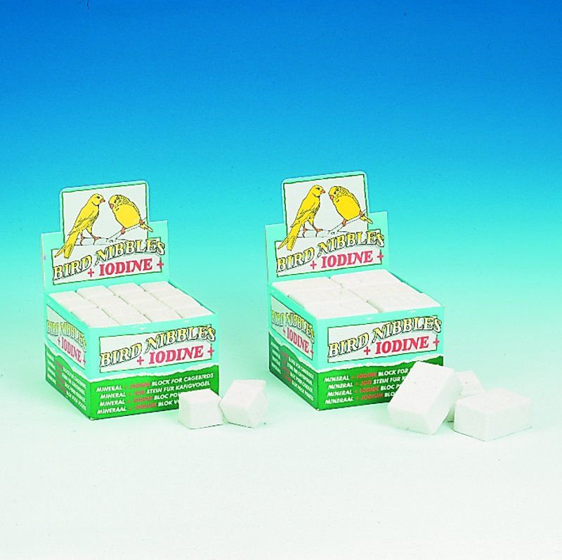 Englische Picksteine - Display 48 St.